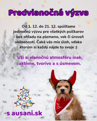 A keďže radi podporujeme aktívnu činnosť so psami...💜⬇️ 🎄✨ Predvianočná výzva s ausani.sk ✨🎄 Pridaj sa k nám a zabudni na...