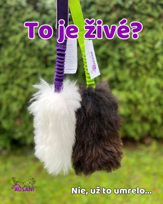 Častá otázka od zákazníkov 😀 (Príspevok nemá nikoho uraziť, slúži len na pobavenie ☺️) PS: Kvôli výrobe hračiek neumrelo...